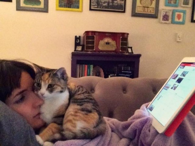 They Are Very Arrogant (22 pics)