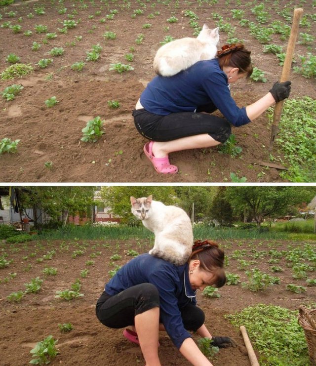 They Are Very Arrogant (22 pics)