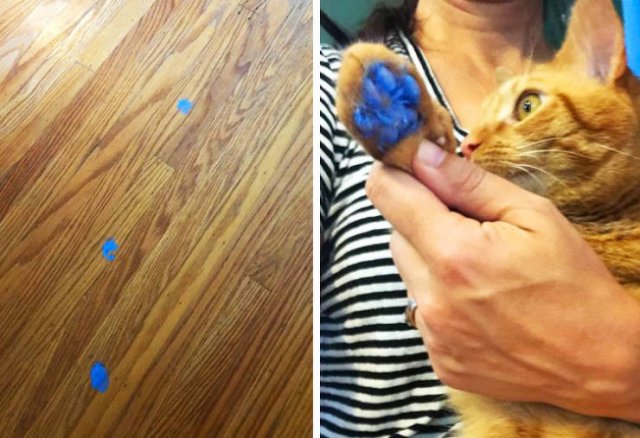 They Are Very Arrogant (22 pics)