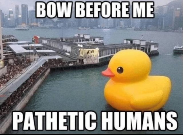 Funny Memes (15 pics)
