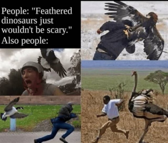 Funny Memes (15 pics)