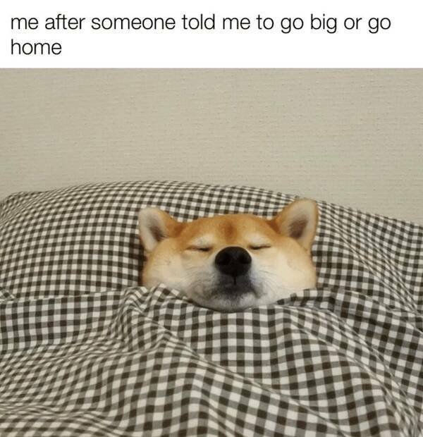 Funny Memes (15 pics)