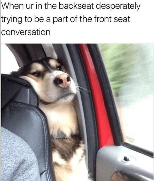 Funny Memes (15 pics)