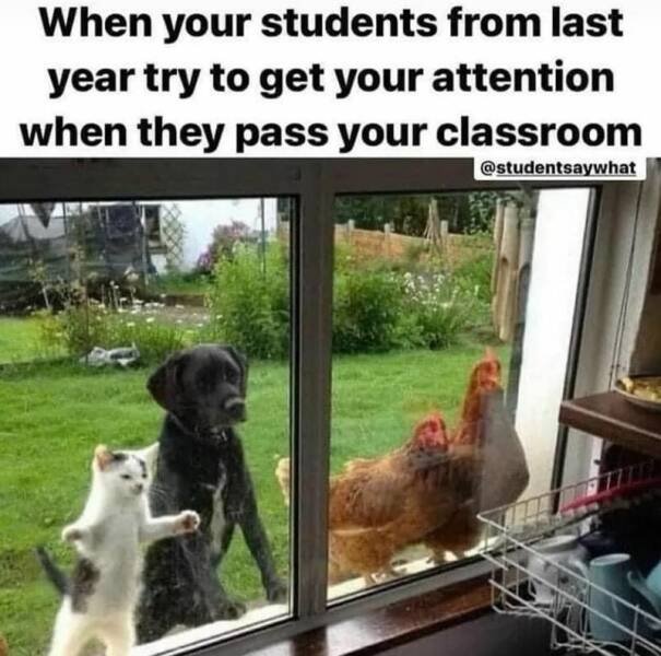 Memes About Teachers (15 pics)