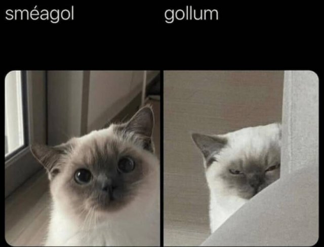 Funny Memes (15 pics)