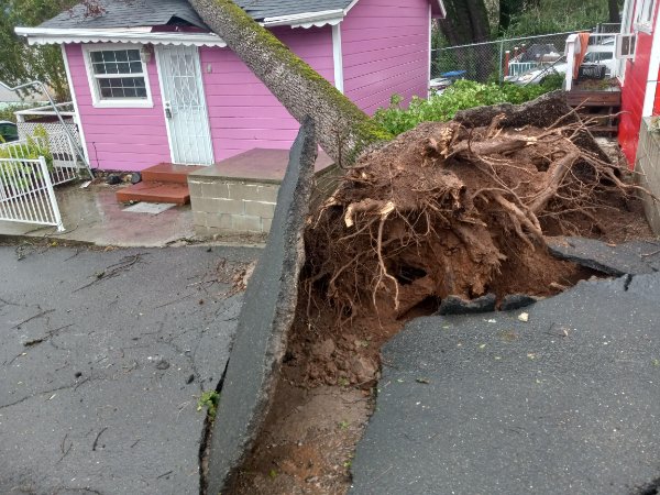 Bad Days Happen (17 pics) Bad Days Happen (17 pics)