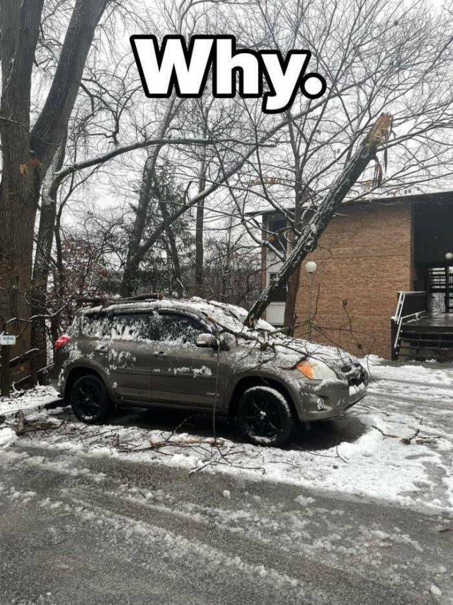 Bad Days Happen (19 pics)