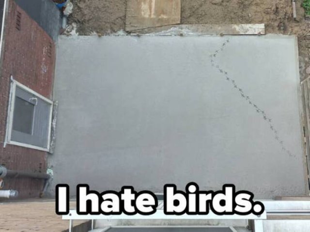 Bad Days Happen (19 pics)