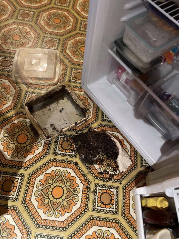 Bad Days Happen (19 pics) Bad Days Happen (19 pics)