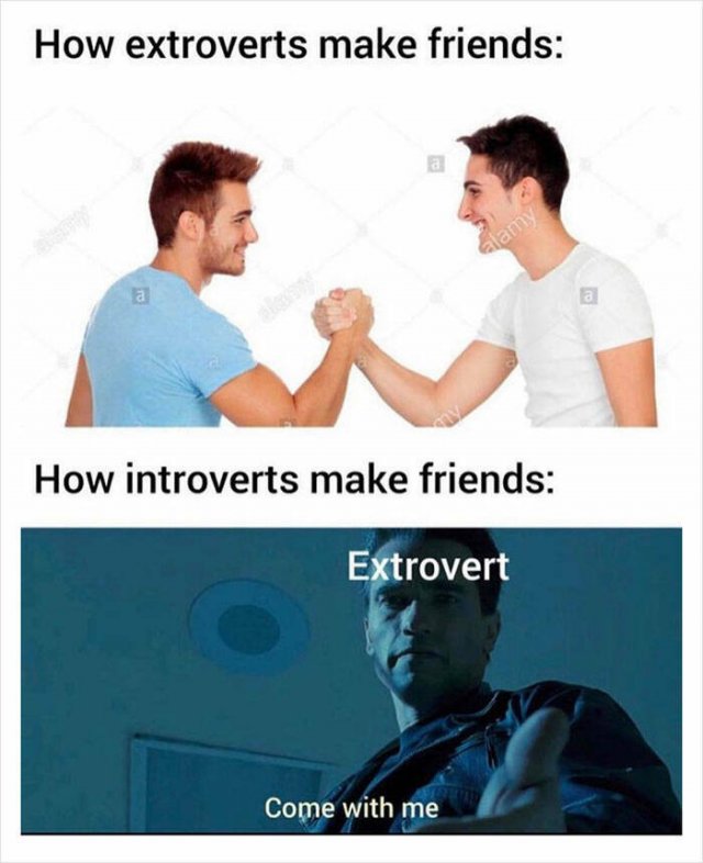 Memes For Introverts (29 pics)