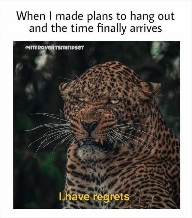 Memes For Introverts (29 pics)