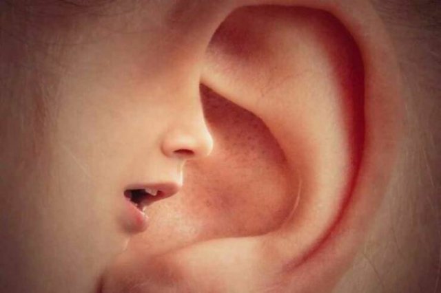 Interesting Facts (24 pics)