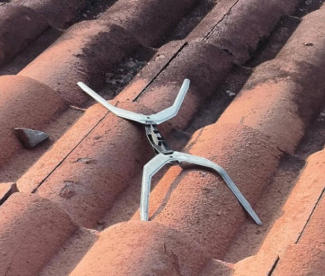 What Are These Things? (26 pics)