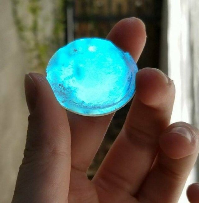 What Are These Things? (26 pics)