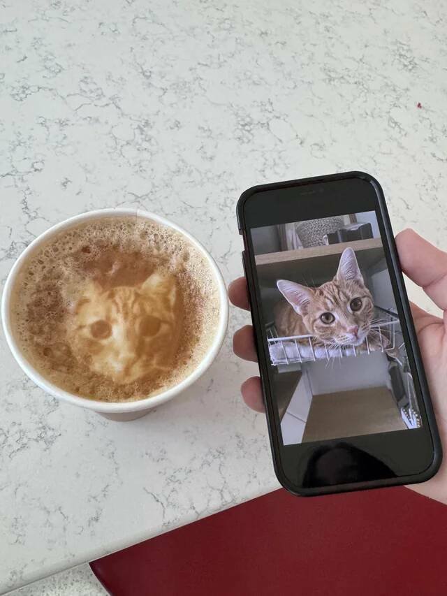Interesting Finds (20 pics) Interesting Finds (20 pics)
