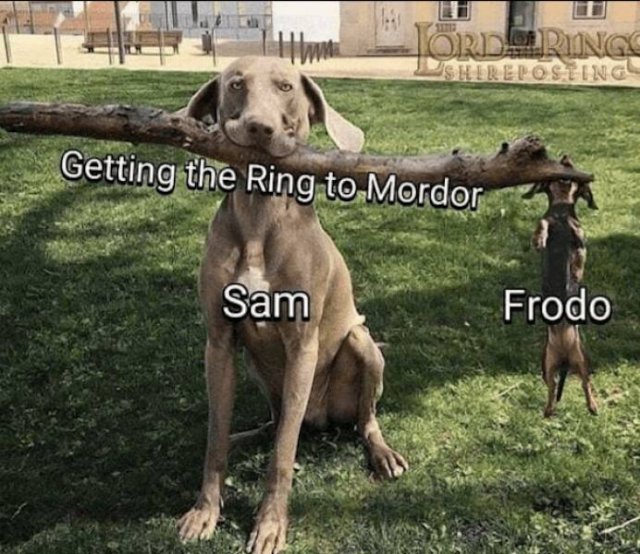 ''Lord Of The Rings'' Memes (29 pics)