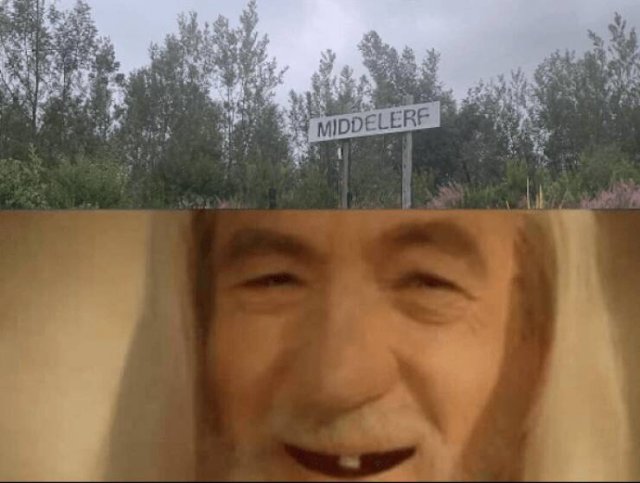 ''Lord Of The Rings'' Memes (29 pics)