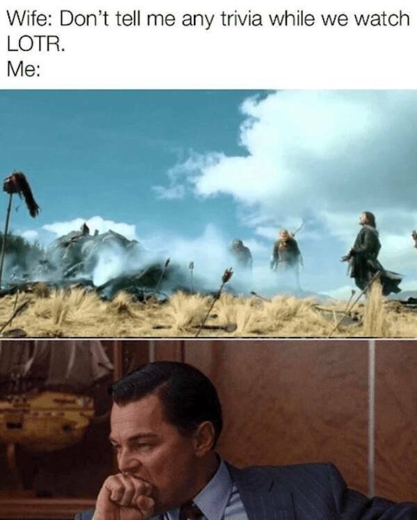 ''Lord Of The Rings'' Memes (29 pics)