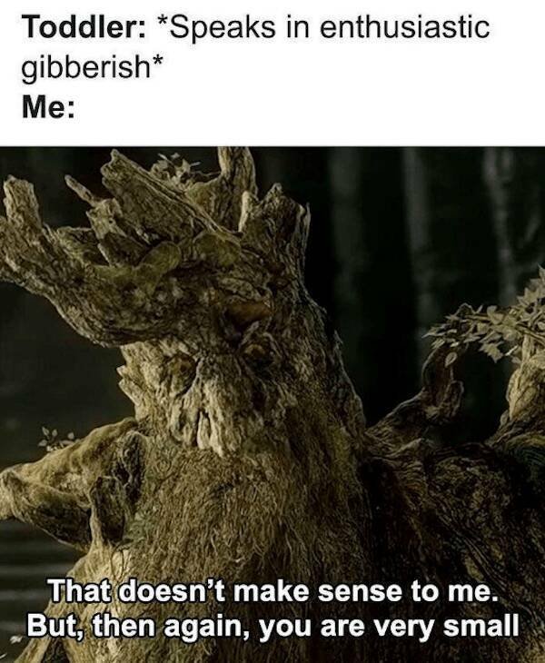''Lord Of The Rings'' Memes (29 pics)