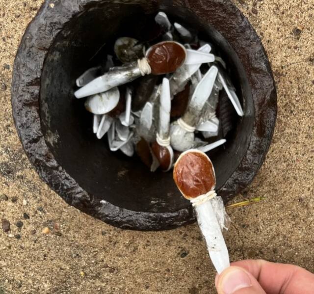 What Are These Things? (17 pics)