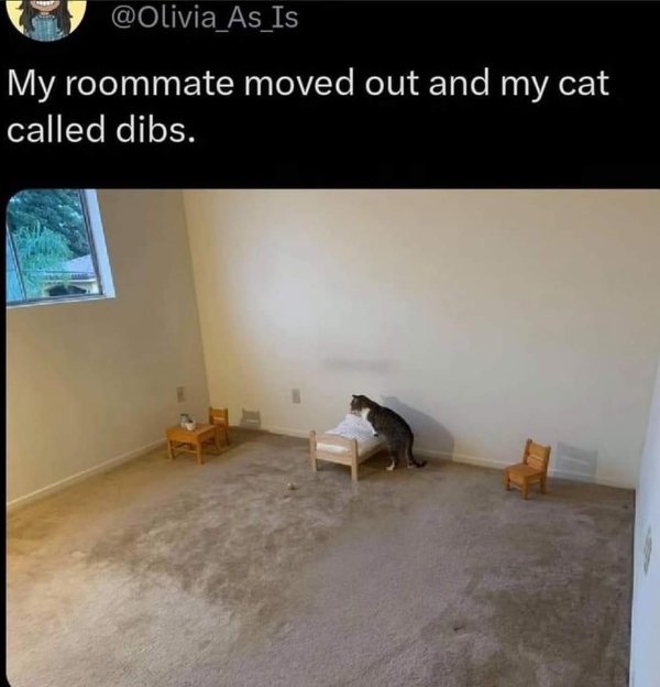 Funny Memes (25 pics)