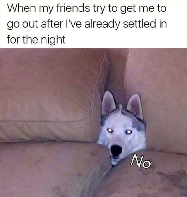 Funny Memes (25 pics)