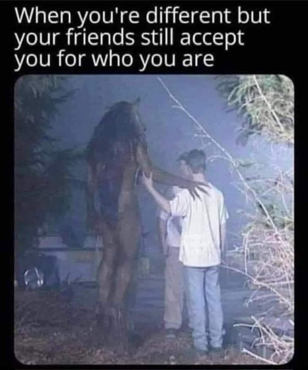 Funny Memes (25 pics)