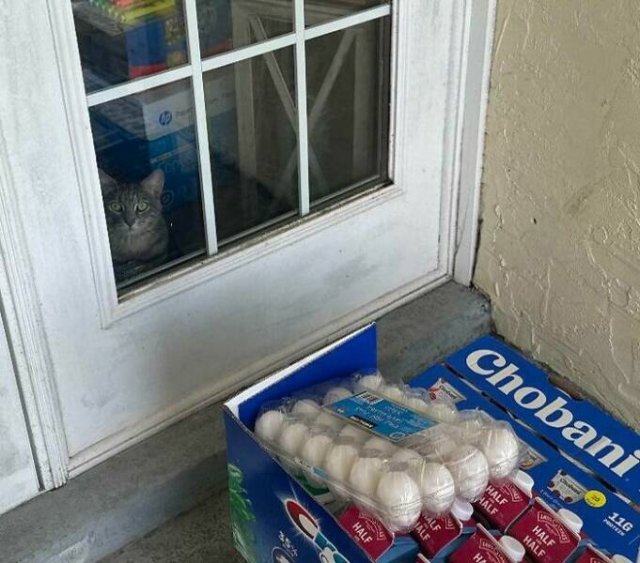 Unexpected Situations At Work (24 pics)
