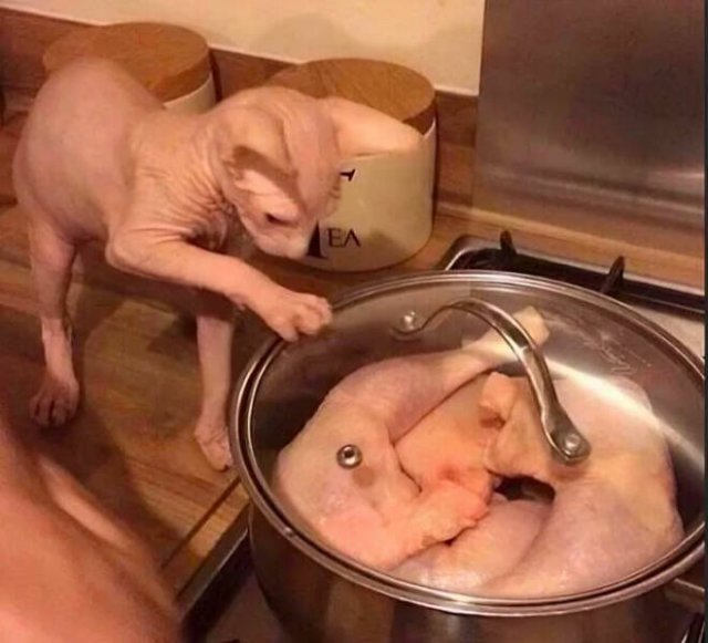 What Is Going On Here? (17 pics)