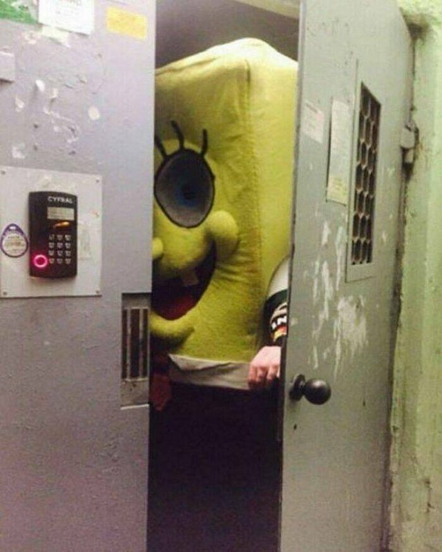 What Is Going On Here? (17 pics)