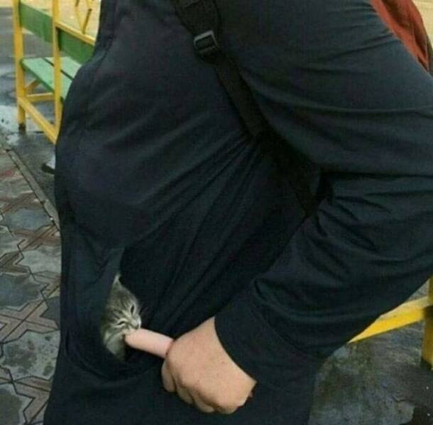 What Is Going On Here? (17 pics)