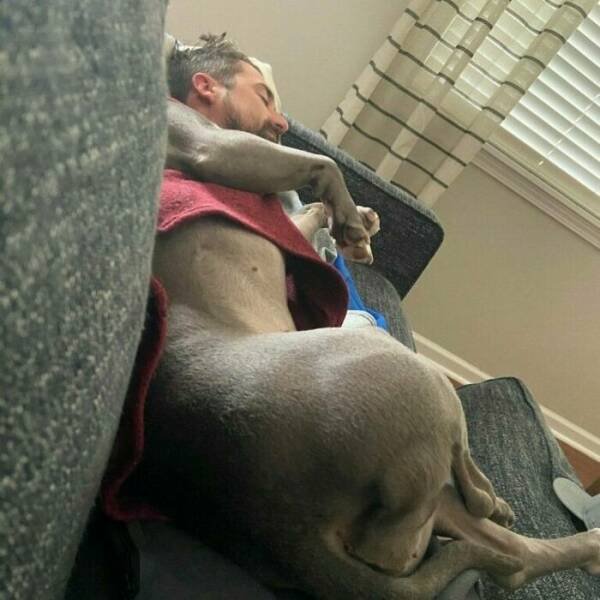 What Is Going On Here? (17 pics)