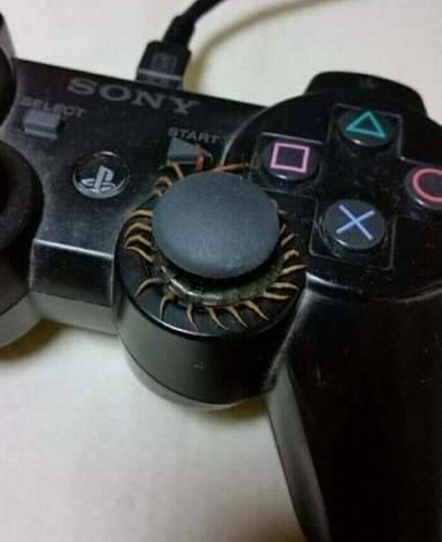 What Is Going On Here? (17 pics)