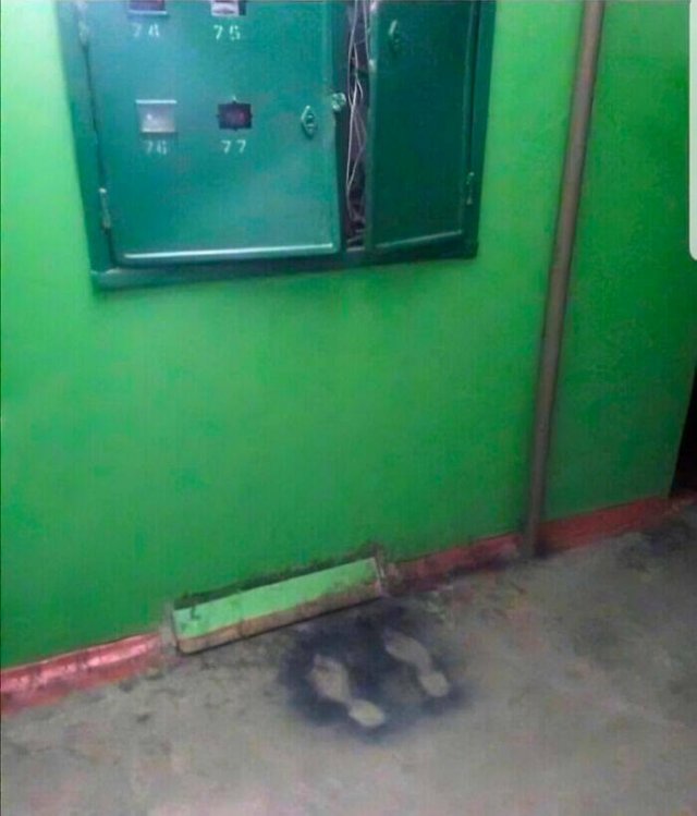 What Is Going On Here? (17 pics)