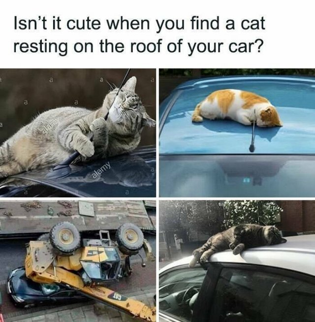 Funny Memes (19 pics)