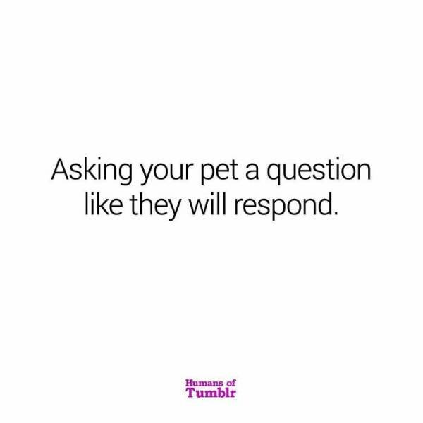 Interesting Thoughts (27 pics)