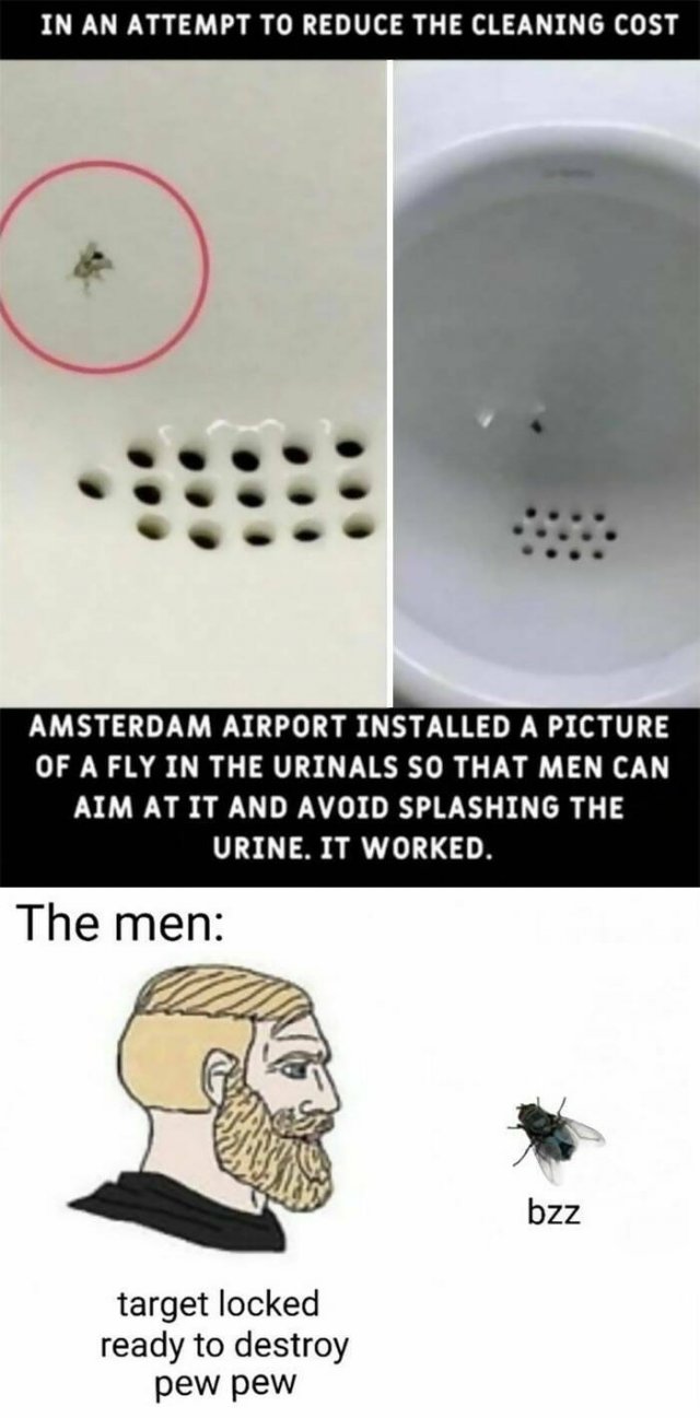 Funny Memes (19 pics)