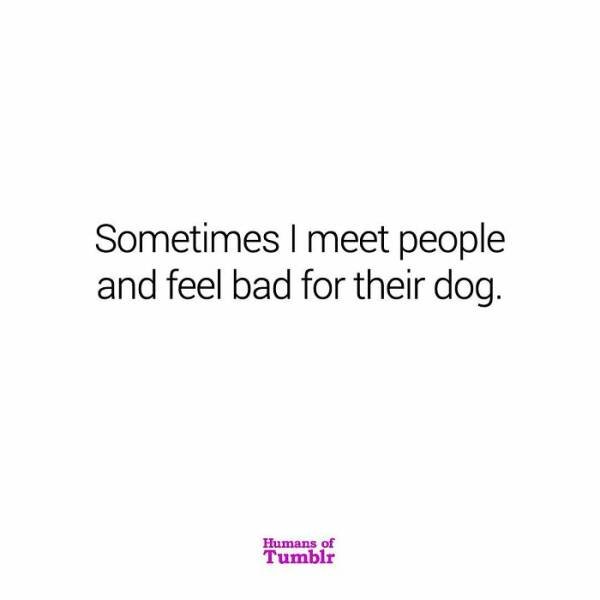 Interesting Thoughts (27 pics)