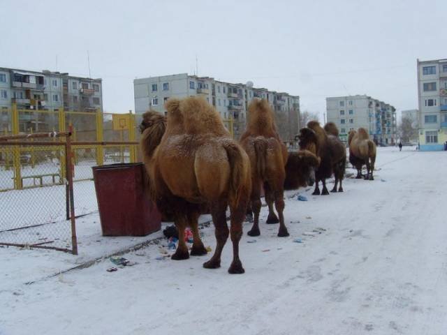 Strange Russians (40 pics)