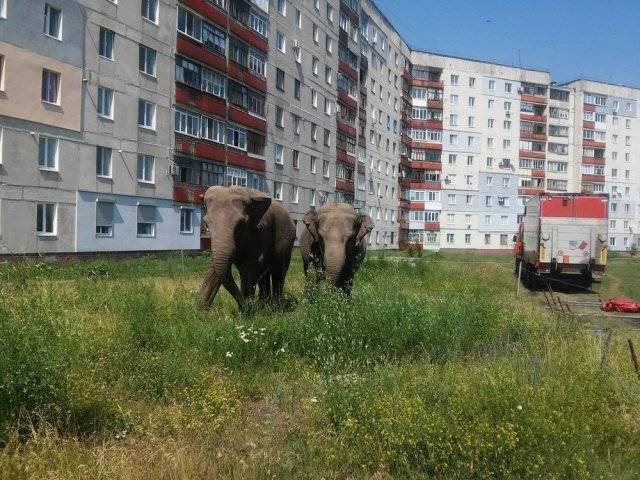 Strange Russians (40 pics)