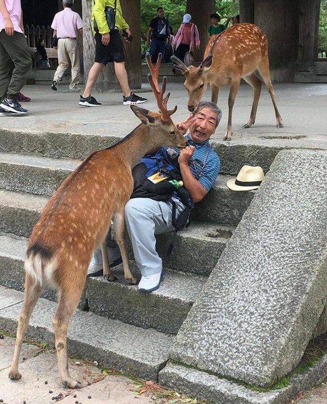 Interesting Things From Japan (25 pics)