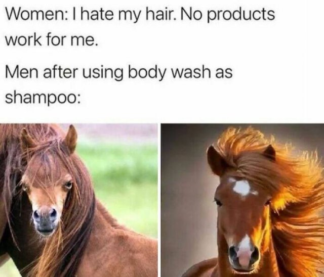 Male Humor (24 pics)