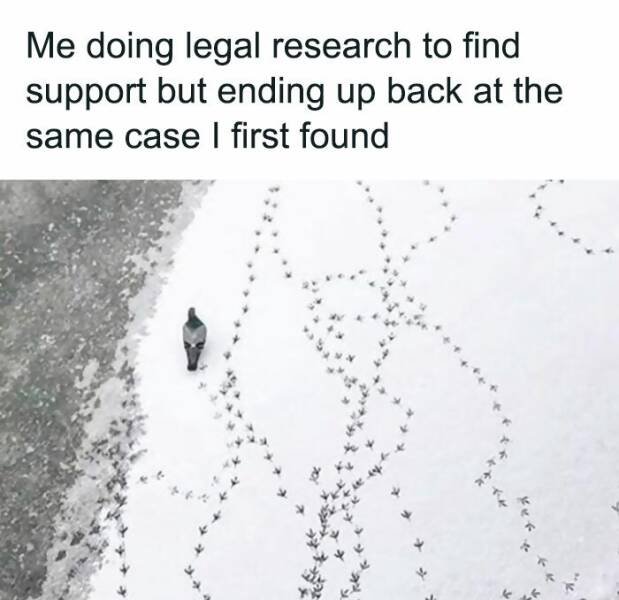 Memes For Lawyers (15 pics)