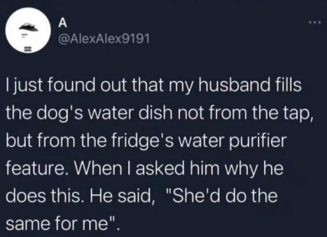 Male Humor (24 pics)