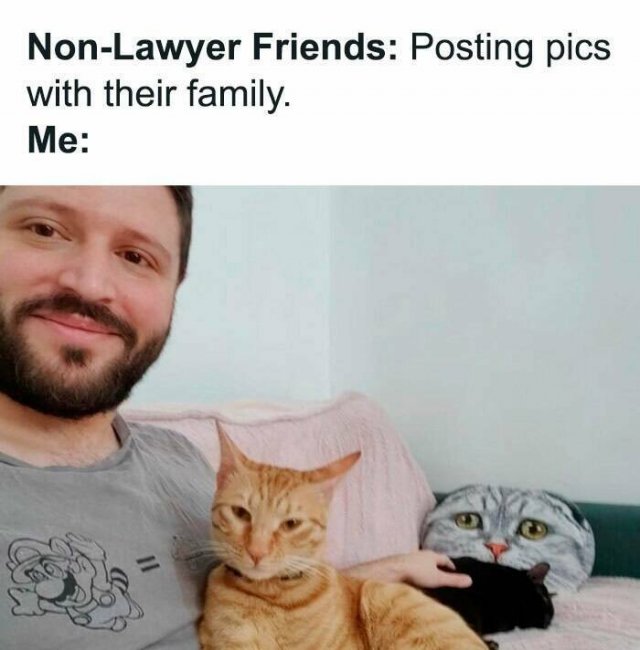Memes For Lawyers (15 pics)