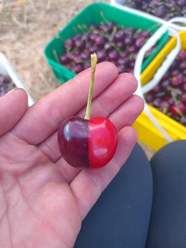 Really Interesting Finds And Photos (22 pics)