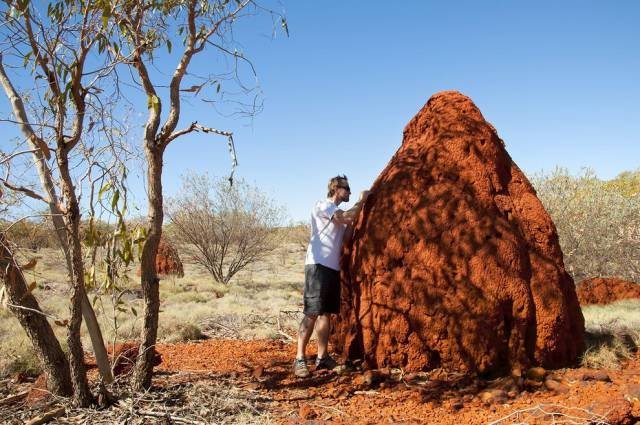 Odd And Creepy Photos From Australia (44 pics)