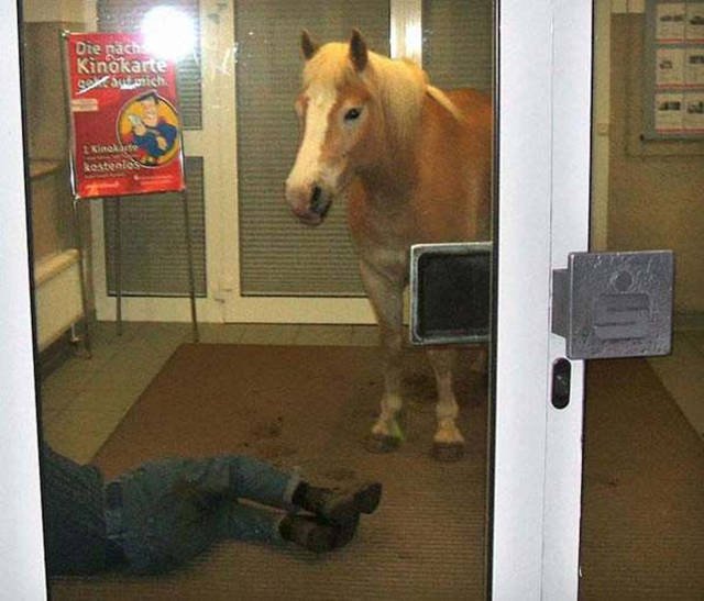 What Is Going On Here? (29 pics)