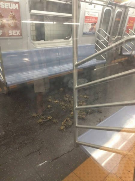 What Is Going On Here? (29 pics)