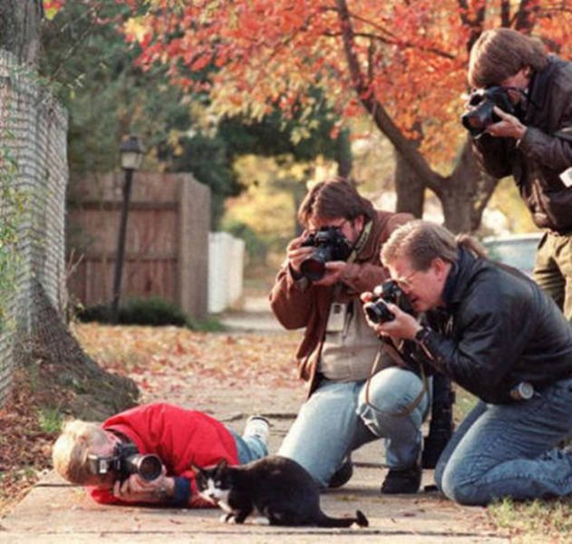 What Is Going On Here? (29 pics)